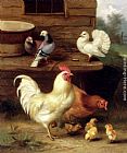 Edgar Hunt Wall Art - A Cockerel, Hen And Chicks With Pigeons